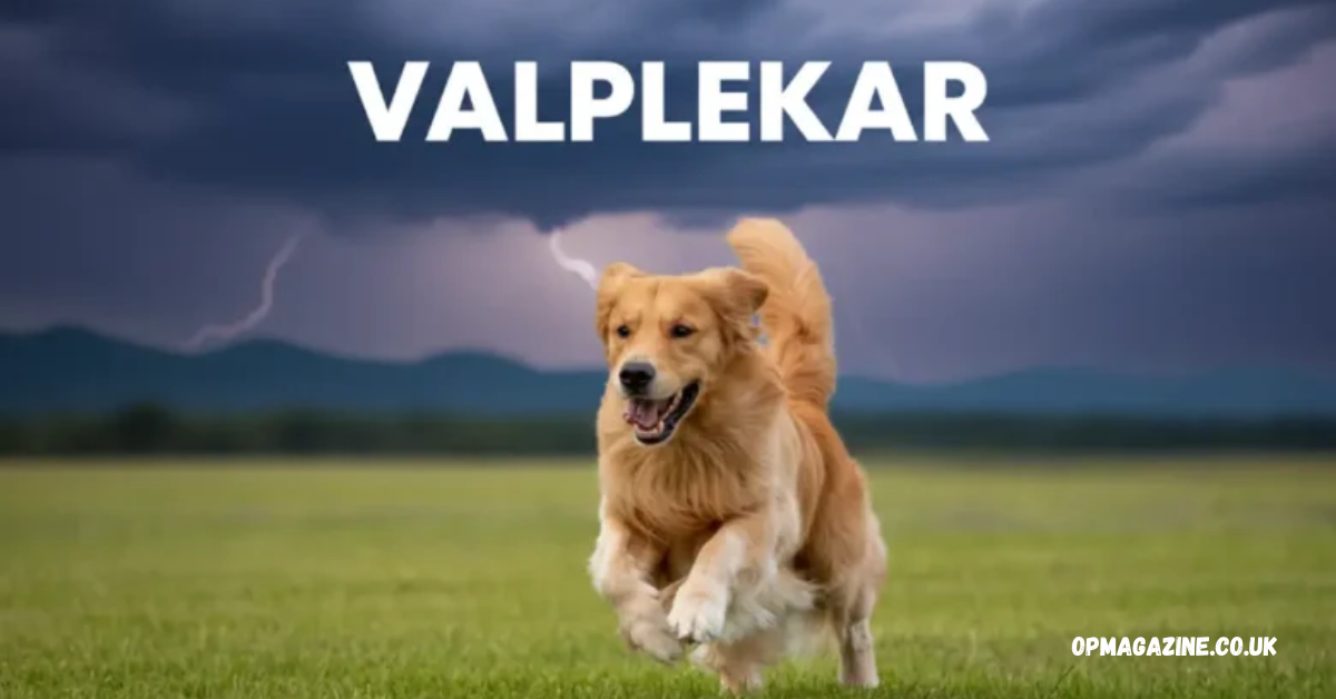 Valplekar: The Ultimate Guide to Puppy Play, Growth, and Daily Development