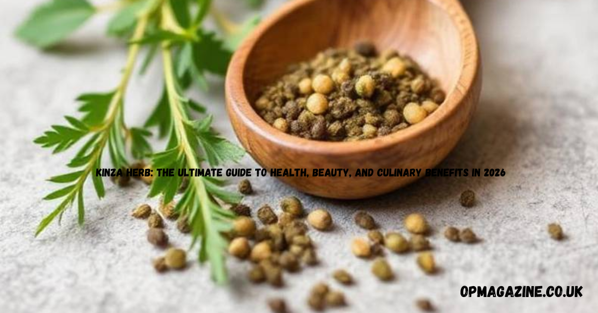 Kinza Herb: The Ultimate Guide to Health, Beauty, and Culinary Benefits in 2026